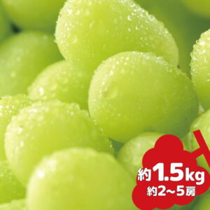 【ふるさと納税】シャインマスカット 約2～5房（約1.5kg）《信州グルメ市場》■2022年発送■※9月中旬頃～10月下旬頃まで順次発送予定 果物 フルーツ ぶどう ブドウ 葡萄 先行予約 期間限定 数量限定