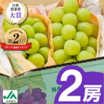 【ふるさと納税】【寄付額改定】2025年発送 シャインマスカット2房1kg以上　JA中野市から直送_ シャインマスカット 日本農業賞大賞 受賞 マスカット ふるさと 長野県 フルーツ 果物 くだもの ぶどう ブドウ 【配送不可地域：離島】【1272457】