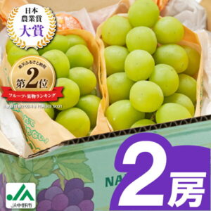 【ふるさと納税】【寄付額改定】2025年発送 シャインマスカット2房1kg以上 JA中野市から直送_ シャインマスカット 日本農業賞大賞 受賞 マスカット ふるさと 長野県 フルーツ 果物 くだもの ぶどう ブドウ 【配送不可地域:離島】【1272457】