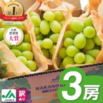 【ふるさと納税】＼ランキング1位／_【2025年発送】訳ありシャインマスカット3房1.3kg以上　ご自分へのご褒美　JA中野市から産直_ シャインマスカット マスカット 果物 フルーツ ぶどう ブドウ 葡萄 訳あり 訳アリ 3房 【配送不可地域：離島】【1422800】