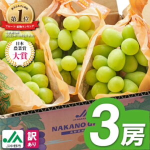 【ふるさと納税】\ランキング1位/_【2025年発送】訳ありシャインマスカット3房1.3kg以上 ご自分へのご褒美 JA中野市から産直_ シャインマスカット マスカット 果物 フルーツ ぶどう ブドウ 葡萄 訳あり 訳アリ 3房 【配送不可地域:離島】【1422800】