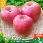 【ふるさと納税】おぶせファーマーズの「訳あり サンふじ 約3kg」