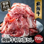 【ふるさと納税】飛騨牛 切り落とし 700g 牛肉 訳あり 不揃い 小間切れ 和牛 牛肉 一頭買い 丸明 熨斗 のし 　牛 飛騨高山　わけあり 切落し 10000円 1万円 人気 TR3734