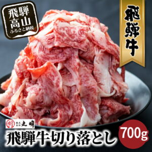 【ふるさと納税】飛騨牛 切り落とし 700g 牛肉 訳あり 不揃い 小間切れ 和牛 牛肉 一頭買い 丸明 熨斗 のし 　牛 飛騨高山　わけあり 切落し 10000円 1万円 人気 TR3734