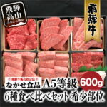 【ふるさと納税】飛騨牛 6種食べ比べ セット 600g(100g×6） 赤身　霜降り　希少部位 A5 5等級 牛肉　焼肉　焼き肉 黒毛和牛 和牛 個包装 ギフト 贈答用 贈り物 飛騨高山 お歳暮　［c536］ 30000円
