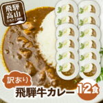 【ふるさと納税】飛騨牛カレー (12袋) ビーフカレー 飛騨牛 カレー レトルト食品 訳あり 簡易包装 訳あり レトルト レトルトカレー TR3296 10000円 1万円