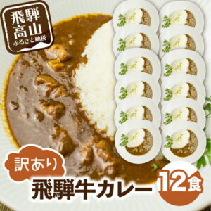【ふるさと納税】飛騨牛カレー (12袋) ビーフカレー 飛騨牛 カレー レトルト食品 訳あり 簡易包装 訳あり レトルト レトルトカレー TR3296 10000円 1万円