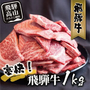 【ふるさと納税】飛騨牛 丸明 焼肉 切りおとし 1kg 和牛 訳あり 牛肉 部位不揃い 不揃い カルビ 切落し 焼き肉 焼肉用 牛 わけあり 20000円 2万円 二万円 人気 高山市 飛騨高山 岐阜県 TR3739