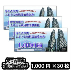 【ふるさと納税】旅行券 温泉 伊豆 旅行 チケット 伊豆の国市宿泊感謝券(1,000円×30枚)100-001