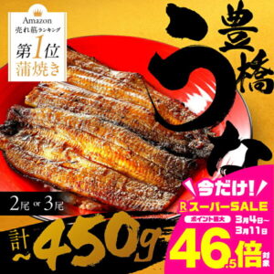 【ふるさと納税】＼高評価★4.61／国産 うなぎ 蒲焼 2尾 3尾 ~450g 夏目商店 蒲焼 国産うなぎ 蒲焼 ウナギ 鰻 長蒲焼 年内発送 年内配送 年内 発送時期が選べる 豊橋うなぎ 冷凍 丑の日 惣菜 unagi ランキング 1位 期間限定 高級 愛知 豊橋市