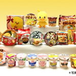 【ふるさと納税】「インスタントラーメン発祥の地・大阪池田」詰め合わせセット