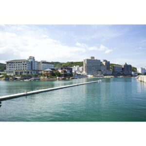 【ふるさと納税】MR03:ホテルニューアワジ 利用券(洲本温泉 利用券)宿泊券