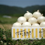 【ふるさと納税】【先行受付！】【ケンちゃんファーム】希少！特別栽培真っ白な白たまねぎ　3kg　〜ひょうご安心ブランド認証取得〜◆配送5月下旬〜