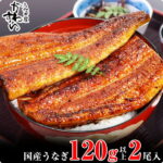 【ふるさと納税】〈うなぎ屋かわすい〉国産うなぎ蒲焼2本セット(1本：120〜149g)