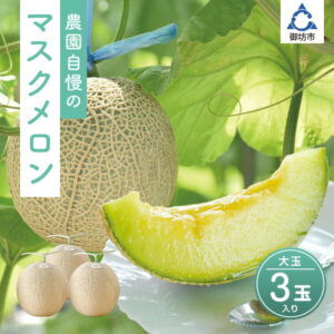 【ふるさと納税】農園自慢の「マスクメロン」大玉×3玉入り