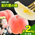 【ふるさと納税】桃 もも 和歌山県産 約2kg 6月中旬-8月上旬頃より順次出荷 紀の里の桃 送料無料 6～8玉入り 旬の桃を厳選 あかつき モモ 果物 フルーツ お取り寄せ 予約 和歌山 白鳳 日川白鳳 八旗白鳳 清水白桃 川中島白桃 つきあかり 黄金桃 なつっこ なつおとめ