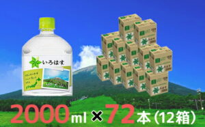 【ふるさと納税】D22-36 大山天然水2Lセット (12箱)