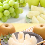 【ふるさと納税】【先行予約】シャインマスカット(種無し)と旬の梨セット　大◇※8月下旬～9月下旬頃に順次発送予定