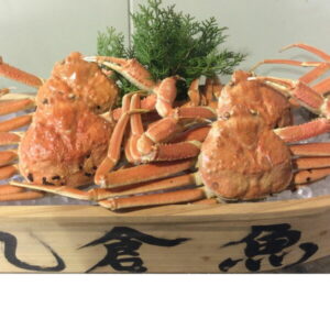 【ふるさと納税】訳ありボイル松葉ガニおまかせ3kg(5〜8枚)【着日指定不可】※2021年11月〜2022年3月に順次発送予定