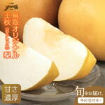 【ふるさと納税】王秋（おうしゅう）梨（5kg）【発送10月中旬以降】DS-08 梨 なし オリジナル フルーツ 鳥取県 鳥取県産 大山町 大山 お土産 返礼品 国産 お取り寄せ ご当地