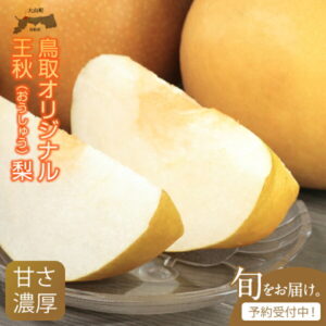 【ふるさと納税】王秋（おうしゅう）梨（5kg）【発送10月中旬以降】DS-08 梨 なし オリジナル フルーツ 鳥取県 鳥取県産 大山町 大山 お土産 返礼品 国産 お取り寄せ ご当地