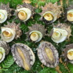 【ふるさと納税】134.豪華サザエ・あわび詰合せ【本田商店】