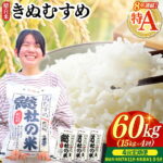【ふるさと納税】特Aきぬむすめ 米 令和7年産 白米 60kg 定期便（15kg×4回）岡山県産 総社市〔令和7年11月・令和8年1月・3月・5月配送〕25-120-007
