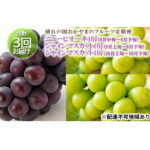 【ふるさと納税】●先行予約●晴れの国おかやまのフルーツ定期便 ニューピオーネ4房（2kg以上） シャインマスカット4房（2kg以上）シャインマスカット4房（2.4kg以上）　【定期便・ブドウ・ニューピオーネ・シャインマスカット】　お届け：2022年8月中旬〜2022年10月下旬