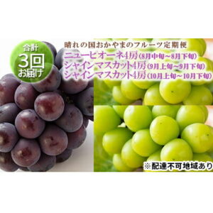 【ふるさと納税】●先行予約●晴れの国おかやまのフルーツ定期便 ニューピオーネ4房（2kg以上） シャインマスカット4房（2kg以上）シャインマスカット4房（2.4kg以上）　【定期便・ブドウ・ニューピオーネ・シャインマスカット】　お届け：2022年8月中旬〜2022年10月下旬