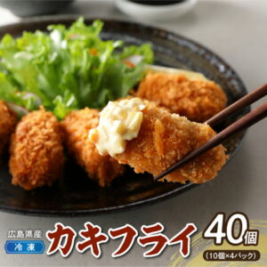 【ふるさと納税】高田水産 「情の雫」 広島県 産 冷凍 かきフライ 10個×4パック 計40個 国産 ブランド牡蠣 産地直送 カキフライ 小分け 便利 美味しい お惣菜 惣菜 おかず 国産 日本一 かき 揚げるだけ 簡単調理 冷凍配送 送料無料 呉市