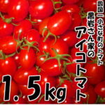 【ふるさと納税】★先行受付★ ≪2022年3月中旬発送≫ ～四国一小さなまちのトマト～ 高知県田野町で大事に育てられた大人気の『黒岩さん家』の アイコトマト 1．5kg です。 とまと トマト アイコ 高糖度 完熟 大人気 数量限定 小玉 中玉 送料無料 高知県 田野町