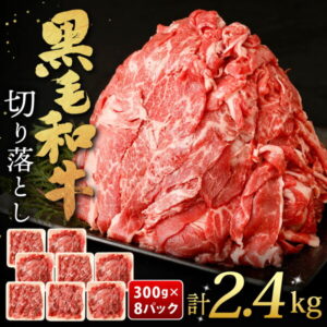 【ふるさと納税】九州産 黒毛和牛 切り落とし 合計2.4kg 300g×8パック 小分け 国産牛 お肉 牛肉 切落し 冷凍 送料無料