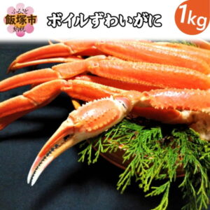 【ふるさと納税】【A3-052】ボイルずわいがに(約1kg)