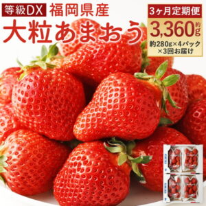 【ふるさと納税】【3ヶ月定期便】事前受付 大粒あまおう 等級DX 約280g×4パック×3回お届け 合計約3,360g 3ヶ月 定期便 いちご 苺 フルーツ 果物 先行予約 福岡県産 冷蔵 送料無料【2022年1月上旬より順次発送予定】