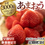 【ふるさと納税】あまおう 定期便 3ヶ月 250g×4 合計3kg 送料無料 いちご 果物 フルーツ 福岡県産 Gサイズ TY034