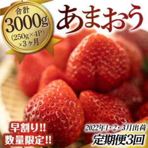 【ふるさと納税】あまおう 定期便 3ヶ月 250g×4 合計3kg 送料無料 いちご 果物 フルーツ 福岡県産 Gサイズ TY034