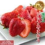 【ふるさと納税】人気No.1獲得謝礼品★限定品★博多あまおう約1，120g いちご 苺　福岡（先行受付／2023年1月以降発送） 高級 フルーツ