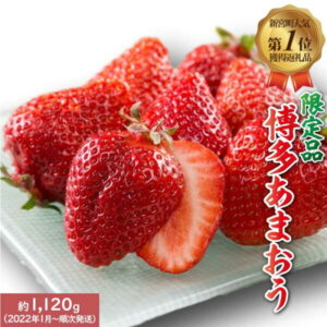 【ふるさと納税】人気No.1獲得謝礼品★限定品★博多あまおう約1，120g いちご 苺　福岡（先行受付／2022年3月以降発送） 高級 フルーツ