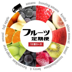 【ふるさと納税】あまおう 梨 キウイ シャインマスカット など 季節のフルーツ を 年12回 お届け します！ 【 定期便 】 送料込　SFT12