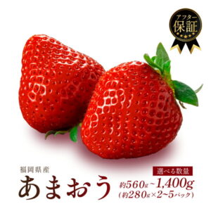 【ふるさと納税】 【25年/26年4月までに発送】 福岡県産 あまおう 約560g~1.4kg (約280g×2~4P) 冷蔵 小分け いちご 福岡県産 苺 あまおう 苺 1kg以上 果物 スイーツ 数量限定 期間限定 特別栽培 特産品 デザート フルーツ 博多 ランキング1位獲得【1月上旬より順次出荷】