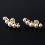 【ふるさと納税】P−050．上品エレガント横並びカーブラインピアス