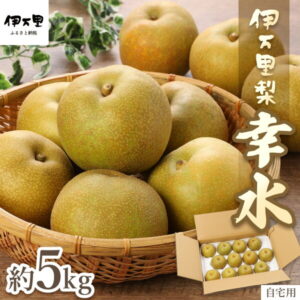 【ふるさと納税】【2025年産先行予約】【数量限定】伊万里梨 「幸水」 約5kg ご自宅用におすすめ B160