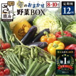 【ふるさと納税】【定期便】【選べるサイクル】野菜 定期便 旬の おまかせ 野菜BOX 12回 8~10品目 | ふるさと納税 野菜 定期便 定期 やさい 定番 野菜 セット 詰め合わせ 旬 新鮮 産地直送 大容量 ふるさと 佐賀県 鹿島市 人気 送料無料 H-13