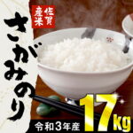 【ふるさと納税】17kg さがみのり 令和3年11月より発送開始