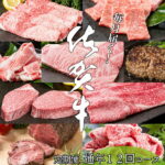 N200-5【ふるさと納税】【毎月お届け！月に1度はお肉の日☆】佐賀牛 定期便 12回コース