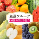 【ふるさと納税】南島原市【厳選フルーツ】6回お楽しみ便！