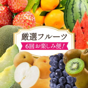 【ふるさと納税】南島原市【厳選フルーツ】6回お楽しみ便!