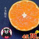 【ふるさと納税】【2025年先行予約】訳あり みかん ひとくちもぎたてみかん 約 4.5kg (4.5kg×1箱) 約 7kg (3.5kg×2箱/7kg×1箱) 約 10kg (10kg×1箱) S-3Sサイズ 訳あり ご家庭用 熊本県産 期間限定 フルーツ 果物 旬 小玉 みかん《10月中旬-12月末頃出荷》