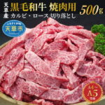 【ふるさと納税】黒毛和牛 焼肉 牛肉 切り落とし カルビ ロース 500g A4 A5 田中畜産
