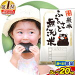 【ふるさと納税】無洗 米 《7-14日以内に出荷予定(土日祝除く)》 熊本ふるさと無洗米 5kg 10kg15kg 20kg 訳あり 米 コメ こめ 熊本県産 米 ふるさと納税 わけあり 以上のお米ならこれ お米 おこめ 熊本 SDGs むせんまい kome musennmai